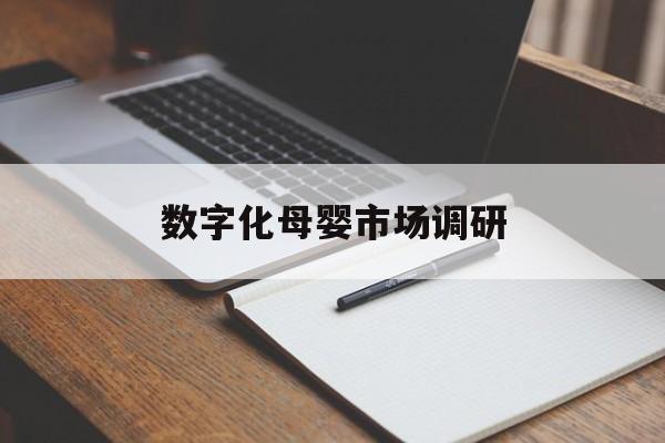 宜宾市数字化母婴市场调研(数字化母婴市场调研报告)